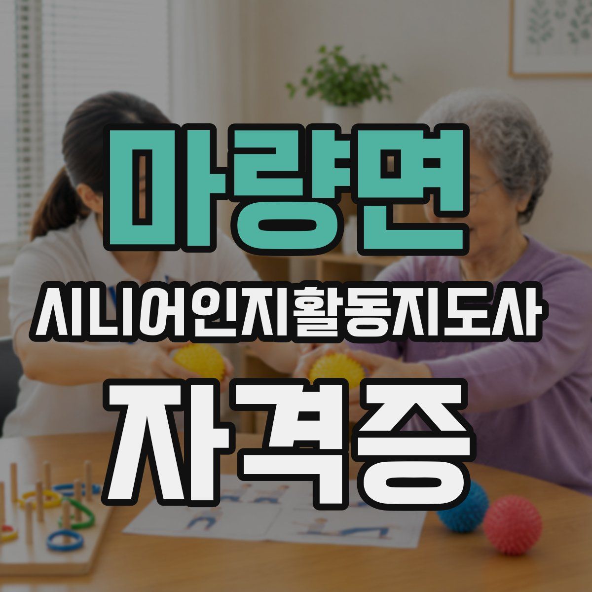마량면 시니어인지활동지도사 자격증