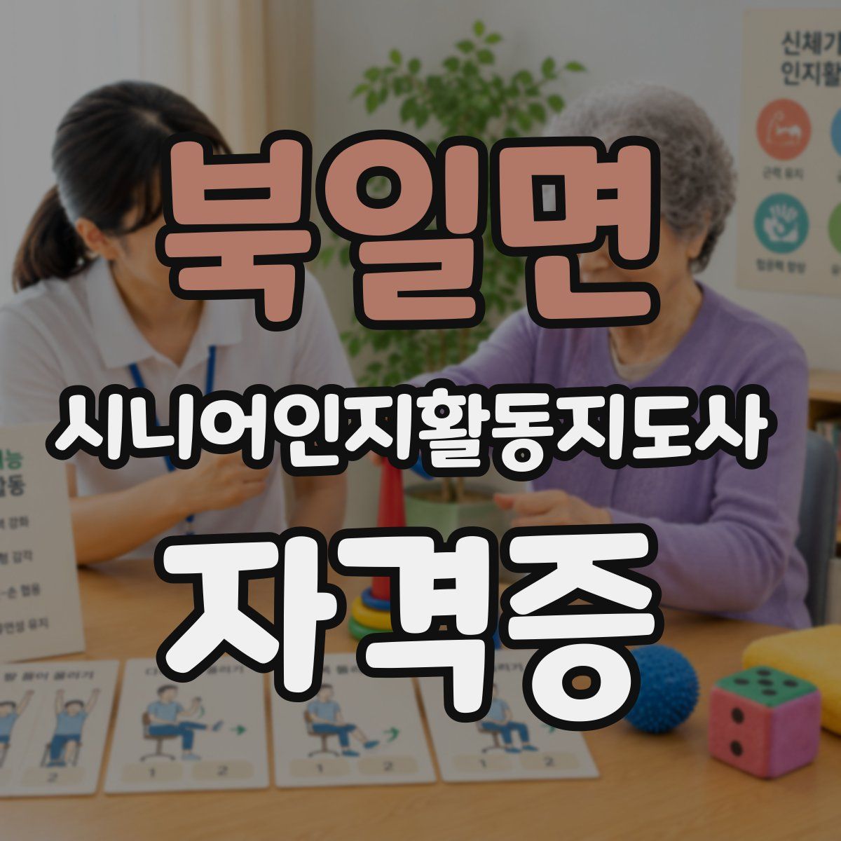 북일면 시니어인지활동지도사 자격증