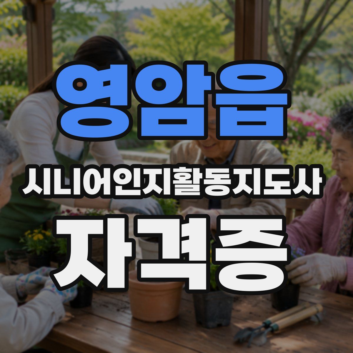 영암읍 시니어인지활동지도사 자격증