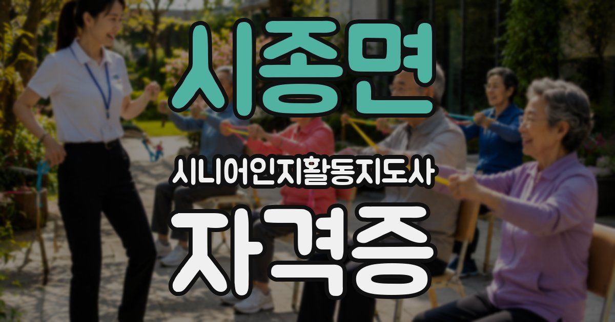 시종면 시니어인지활동지도사 자격증