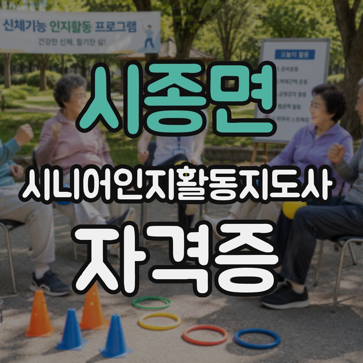 시종면 시니어인지활동지도사 자격증