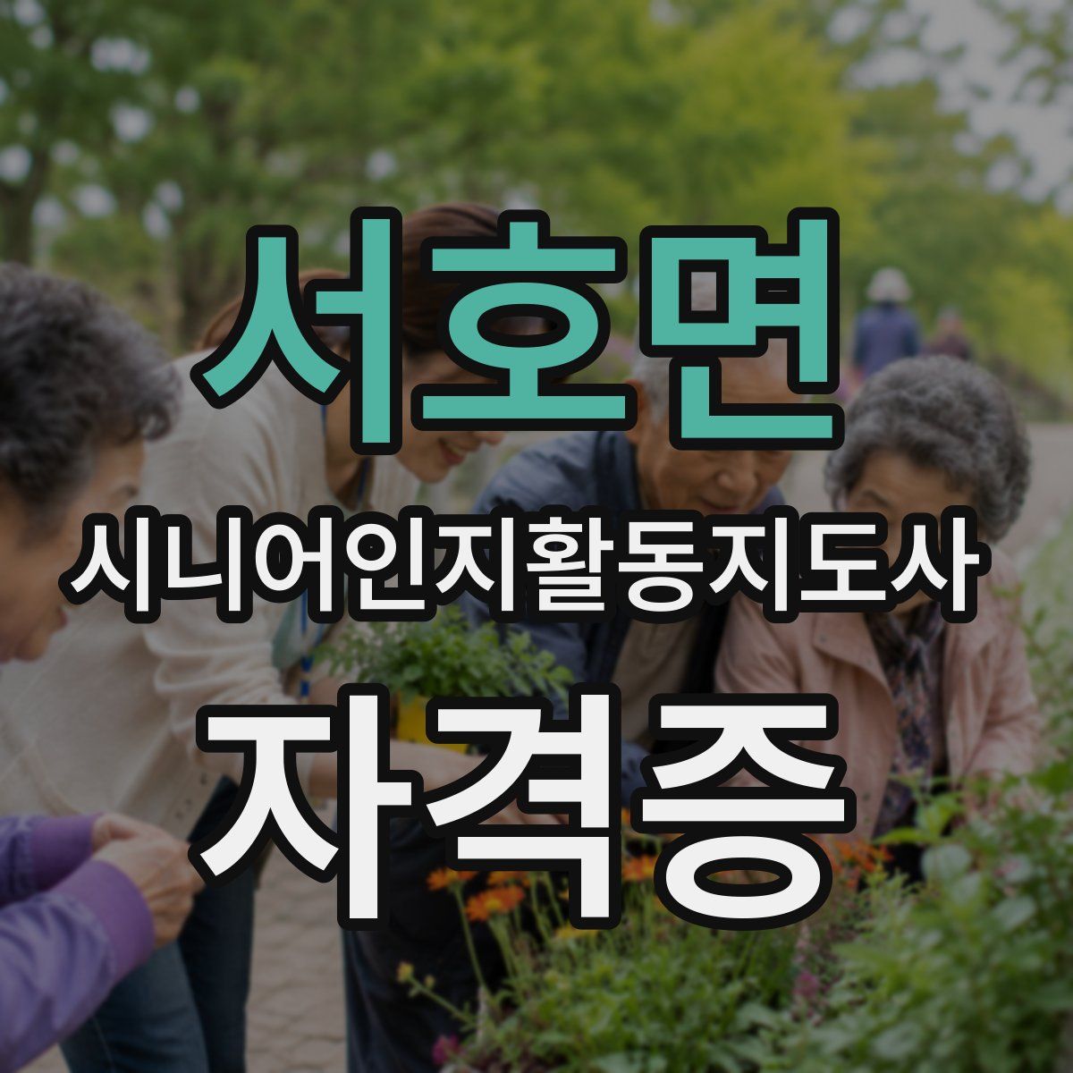 서호면 시니어인지활동지도사 자격증