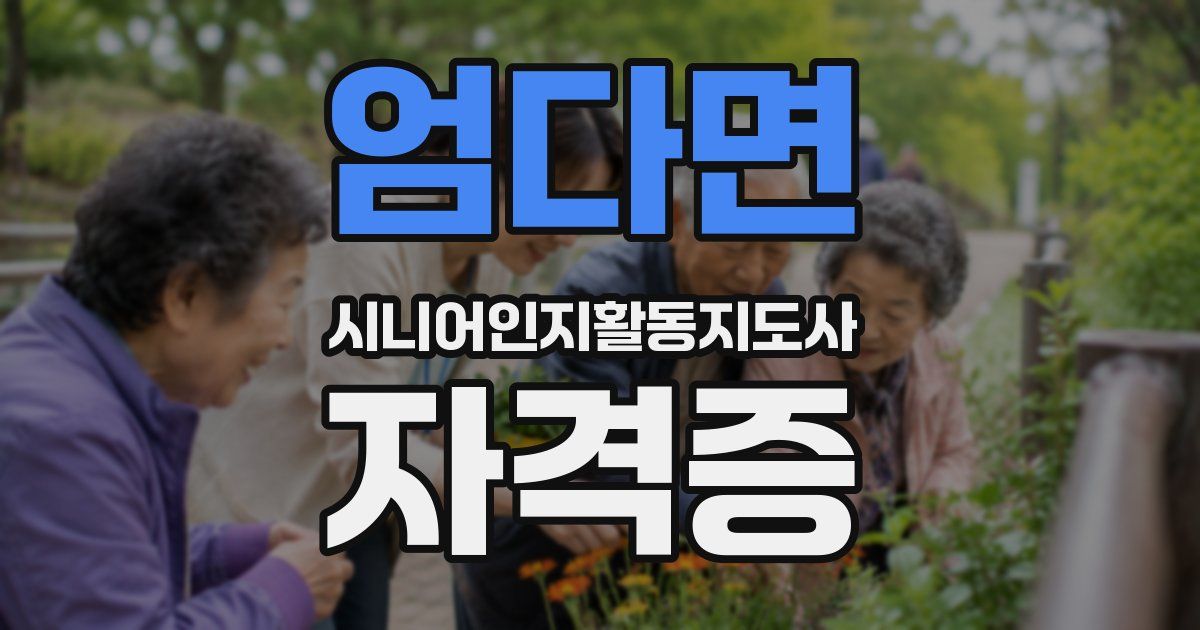엄다면 시니어인지활동지도사 자격증