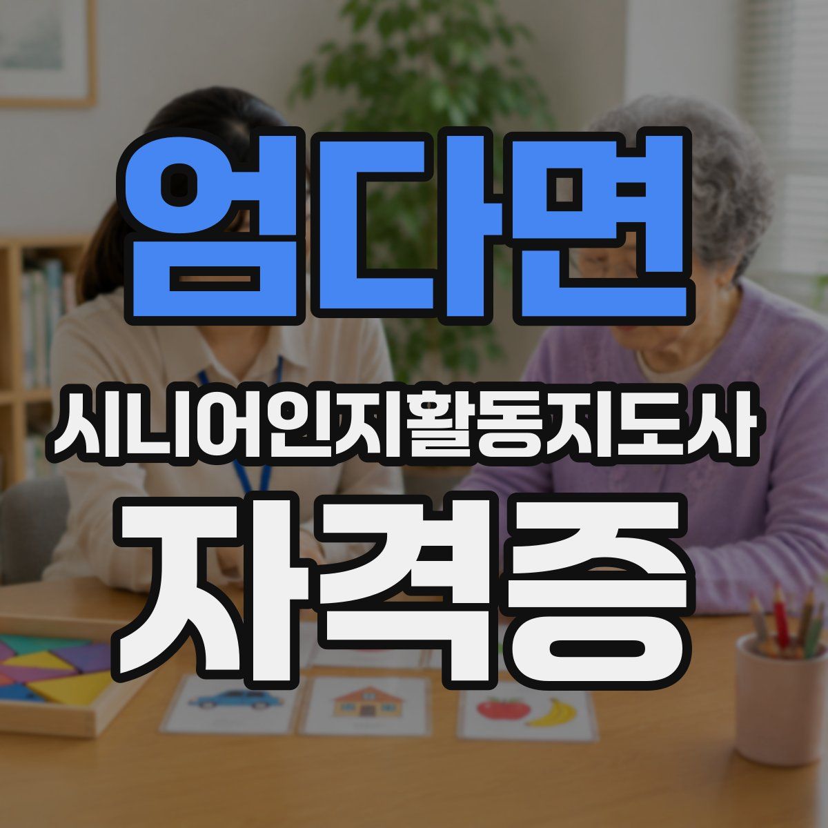 엄다면 시니어인지활동지도사 자격증