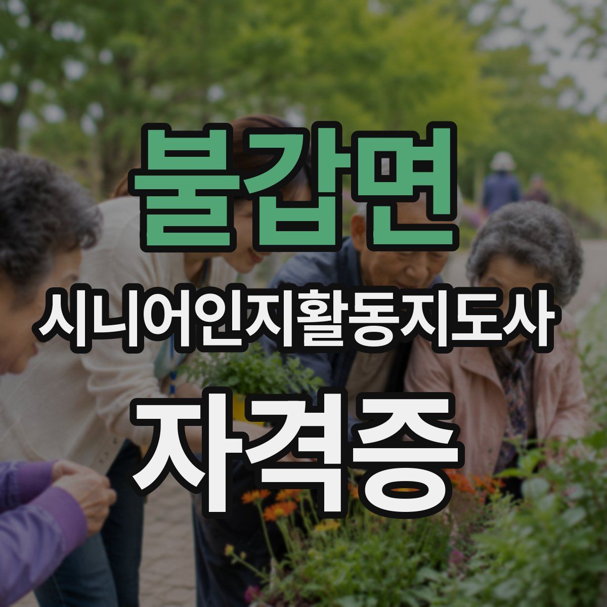 불갑면 시니어인지활동지도사 자격증
