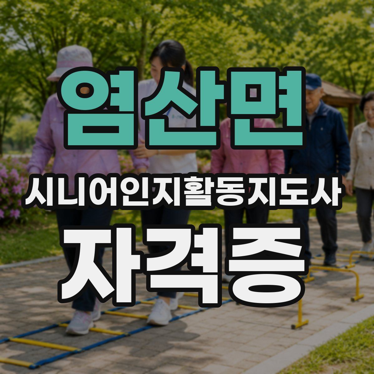 염산면 시니어인지활동지도사 자격증