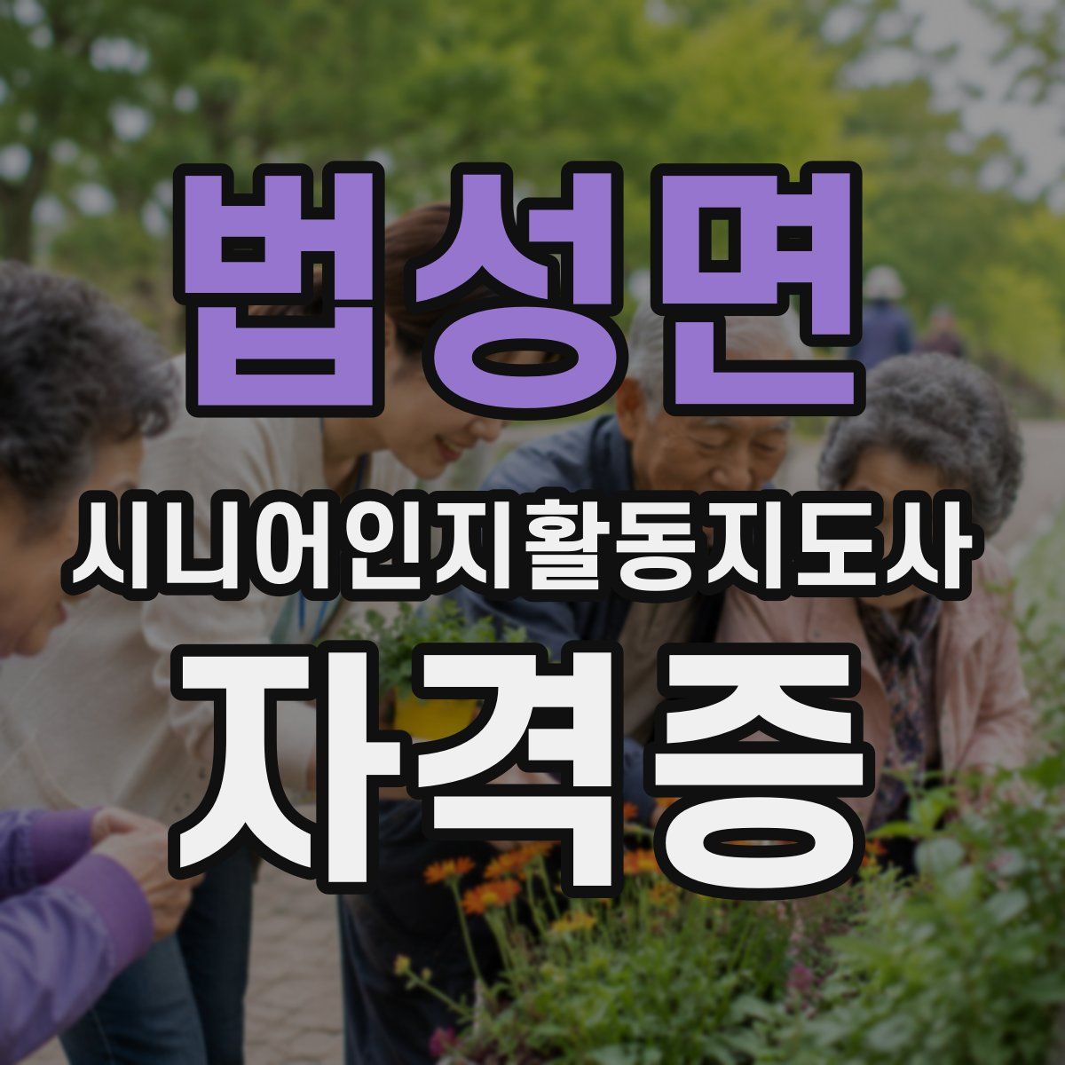 법성면 시니어인지활동지도사 자격증