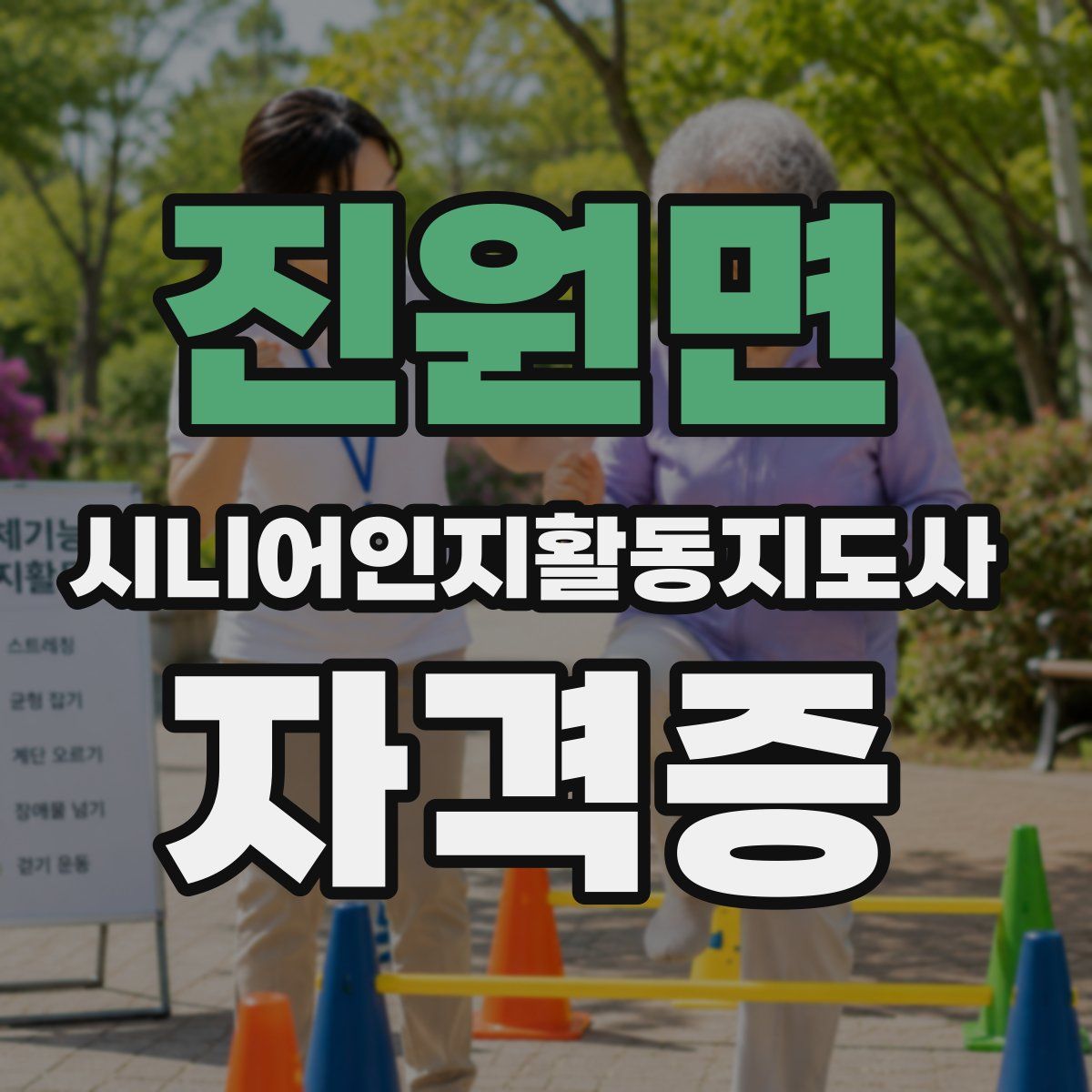 진원면 시니어인지활동지도사 자격증