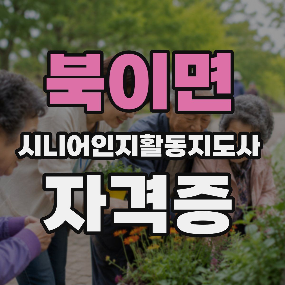 북이면 시니어인지활동지도사 자격증
