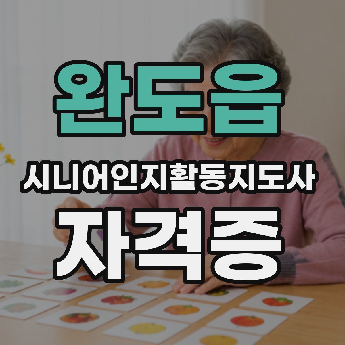 완도읍 시니어인지활동지도사 자격증