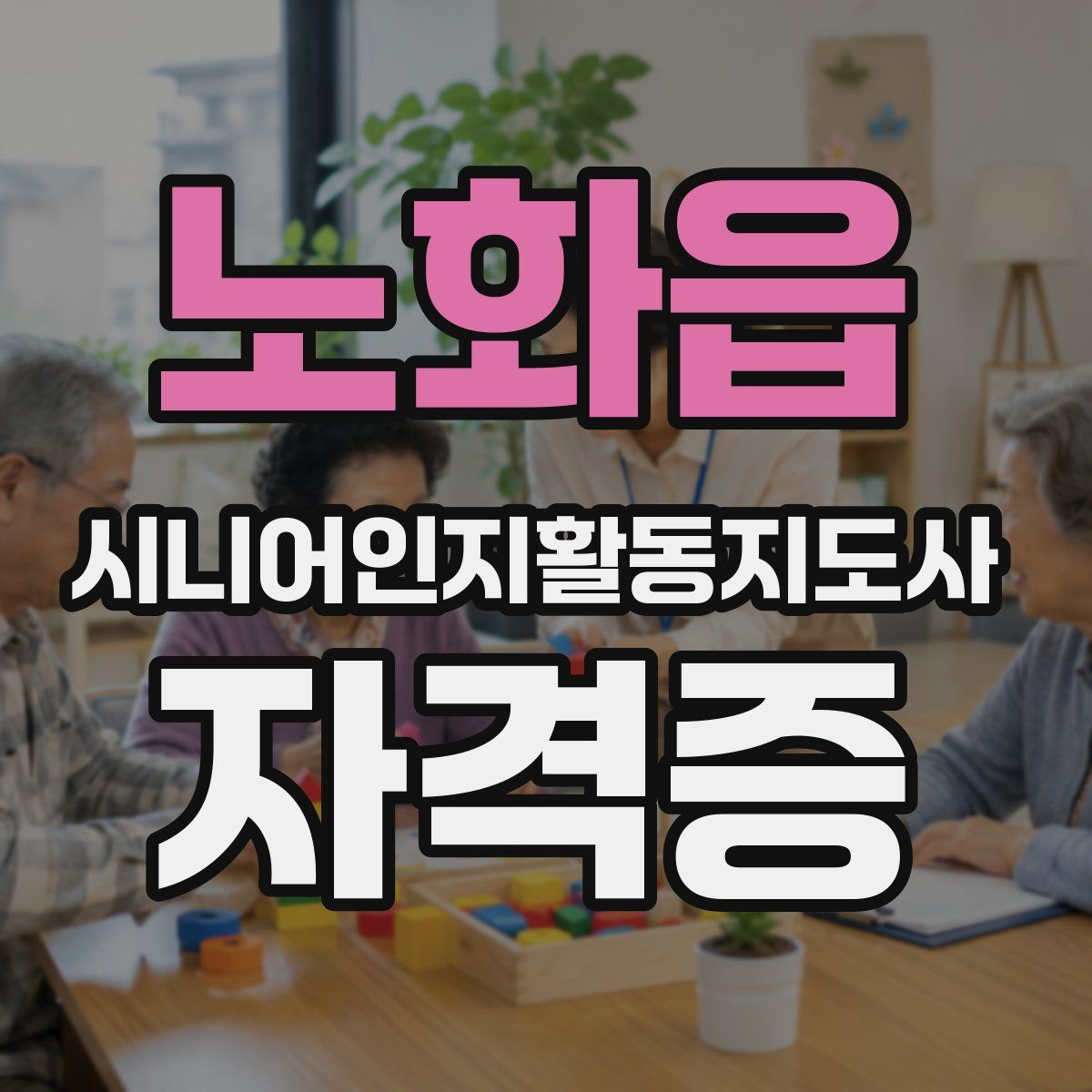 노화읍 시니어인지활동지도사 자격증