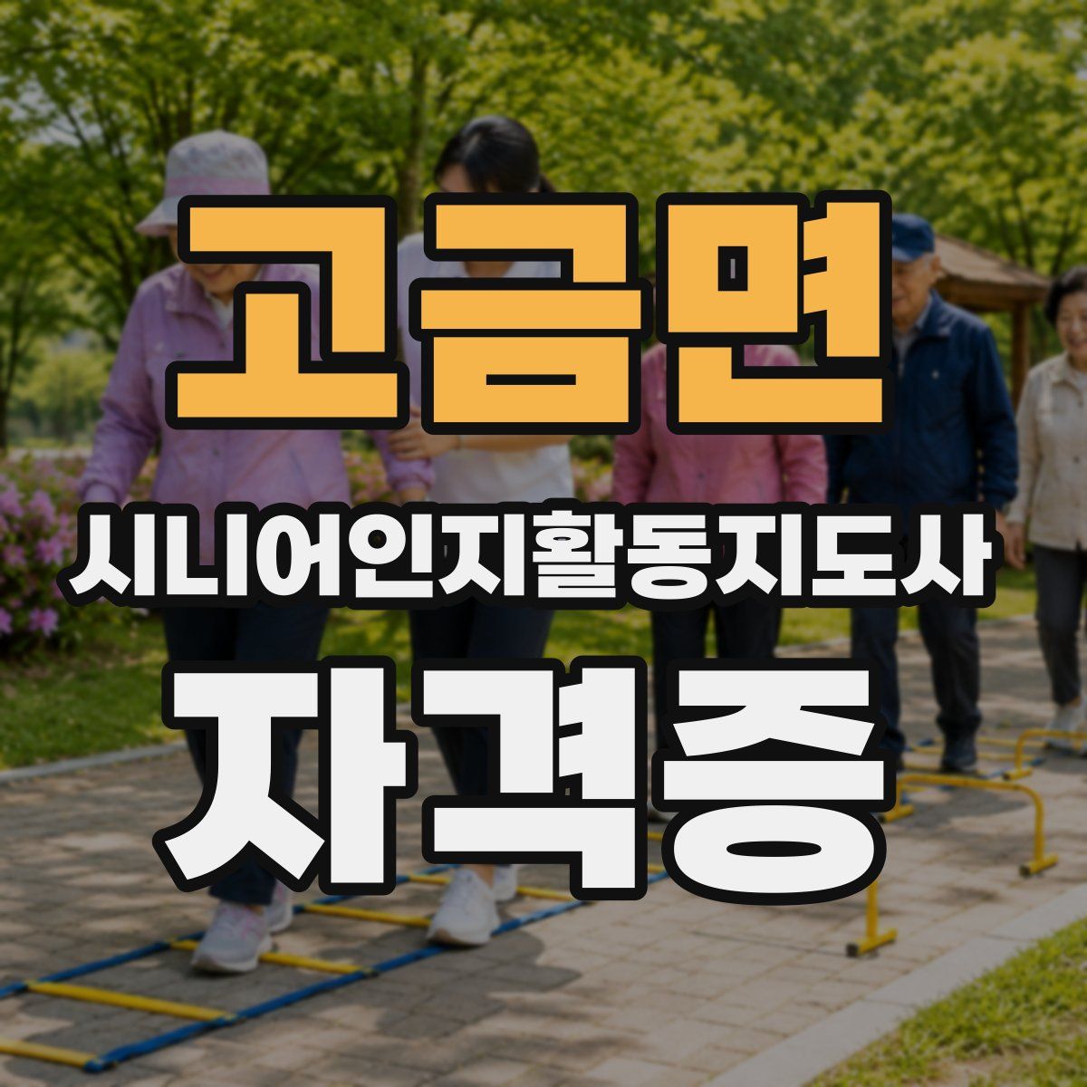 고금면 시니어인지활동지도사 자격증