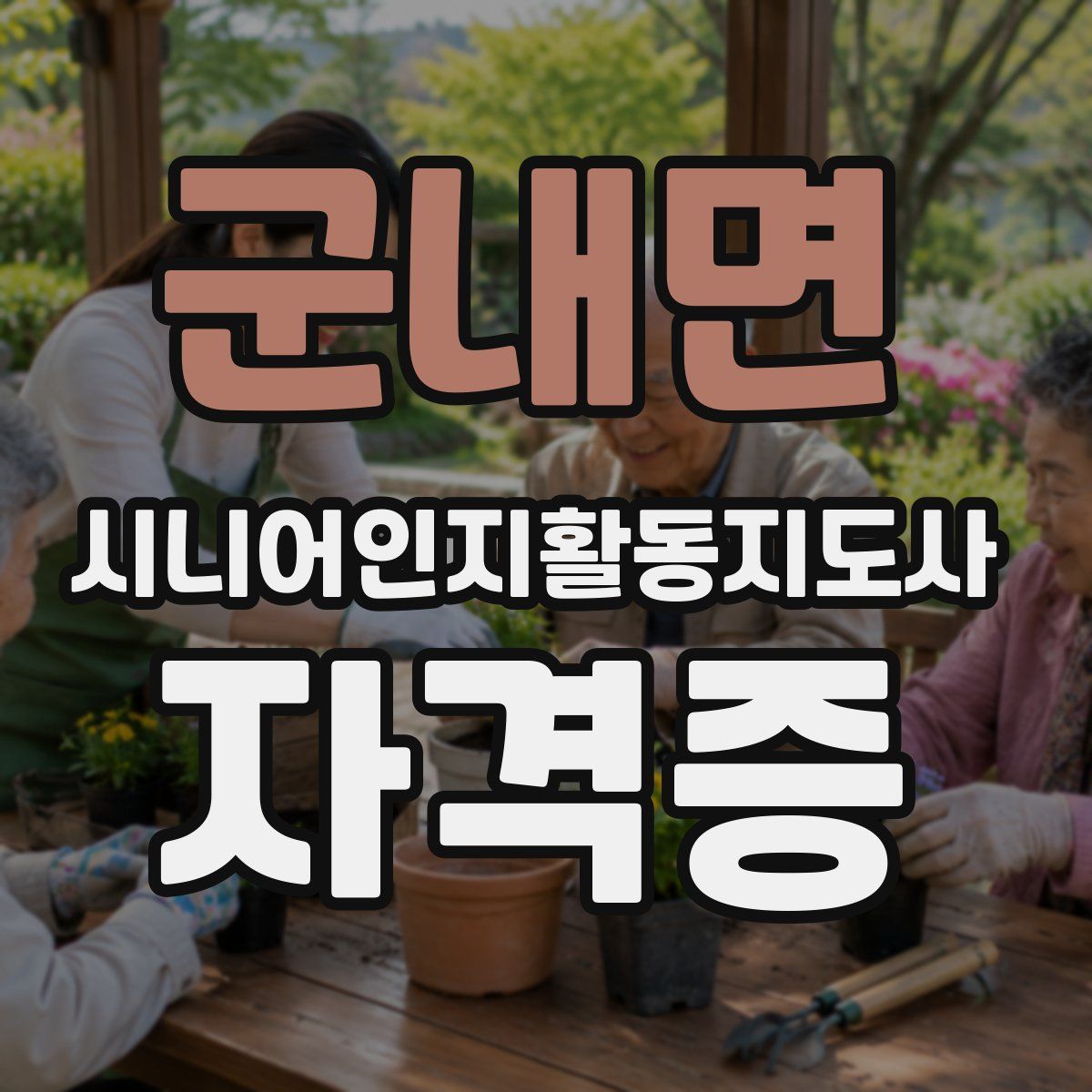 군내면 시니어인지활동지도사 자격증