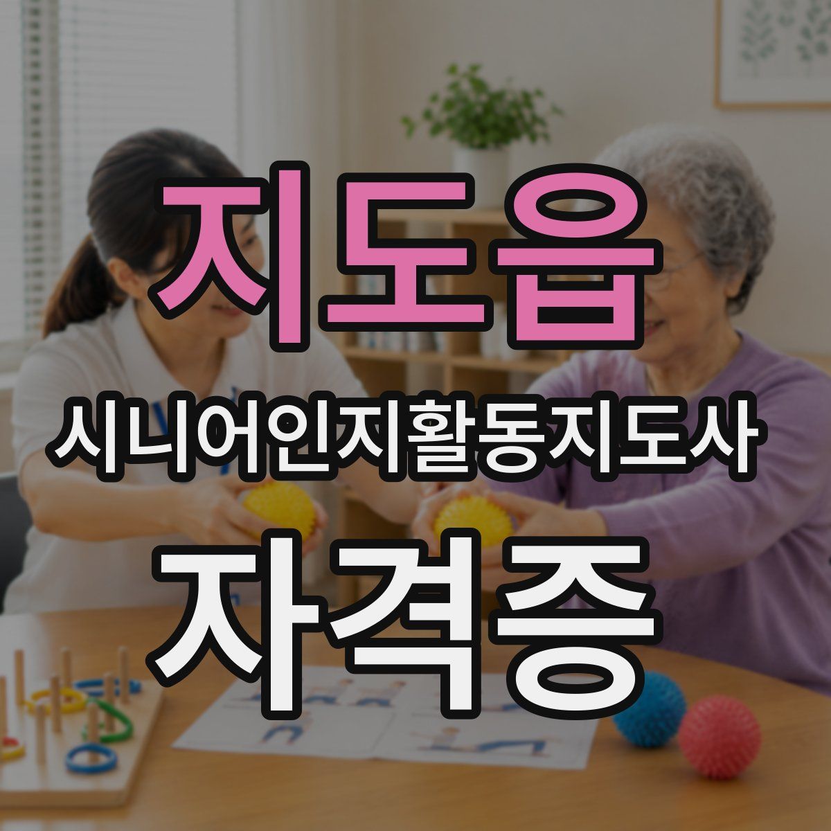 지도읍 시니어인지활동지도사 자격증
