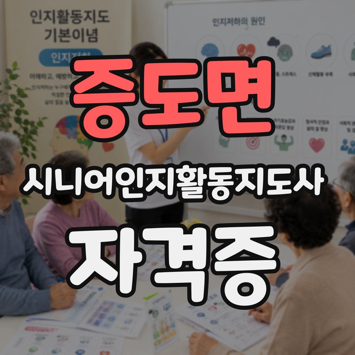 증도면 시니어인지활동지도사 자격증