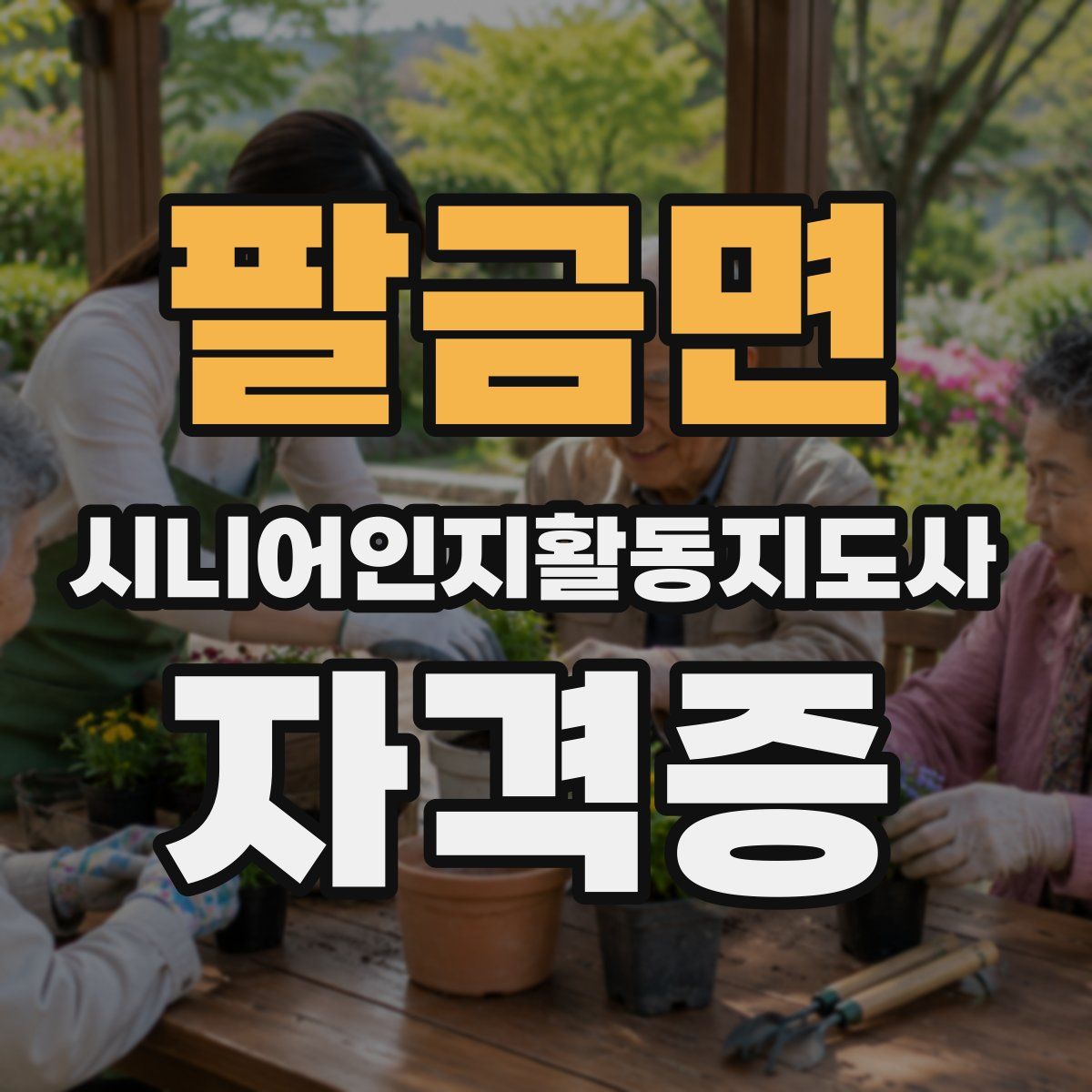 팔금면 시니어인지활동지도사 자격증