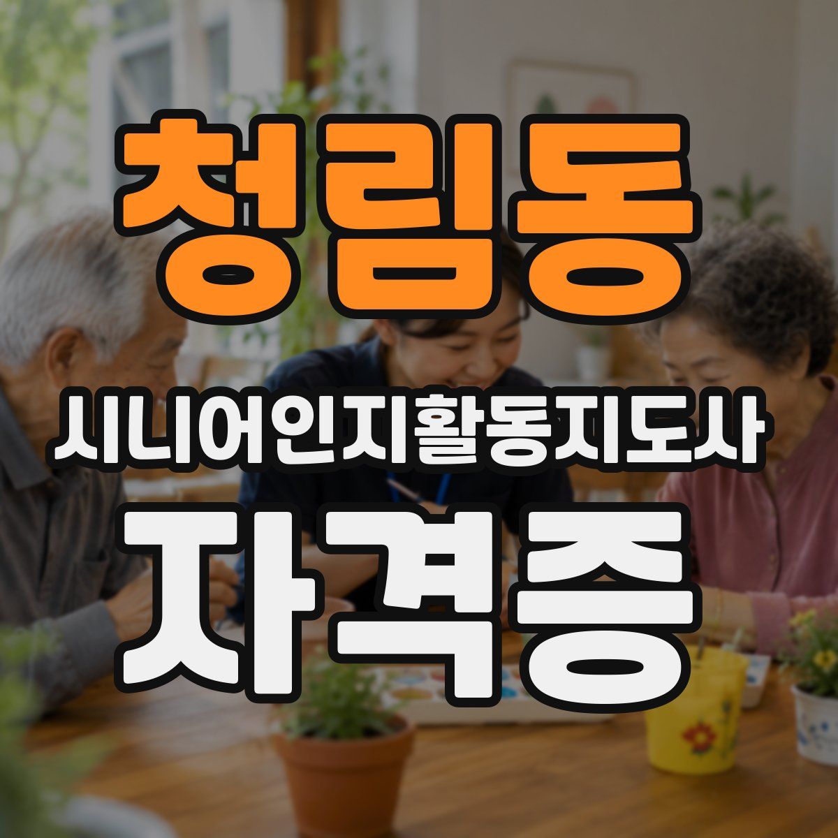 청림동 시니어인지활동지도사 자격증