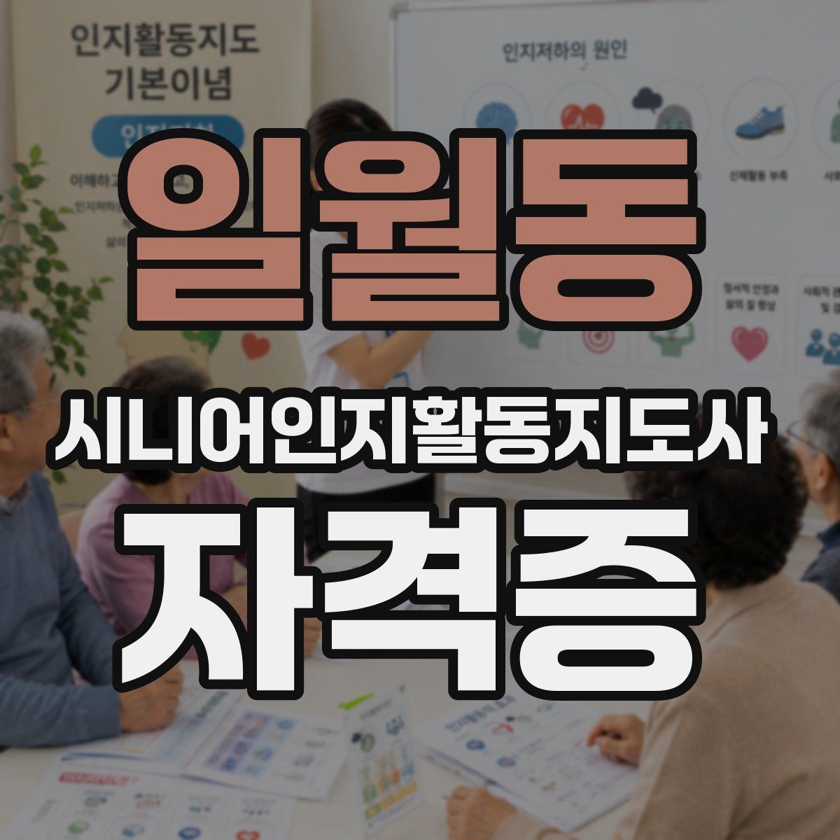 일월동 시니어인지활동지도사 자격증