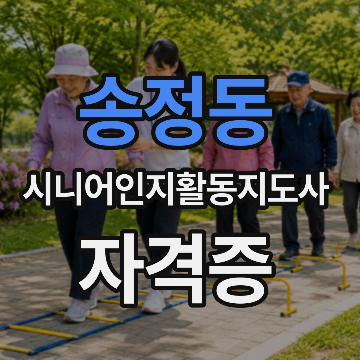 송정동 시니어인지활동지도사 자격증
