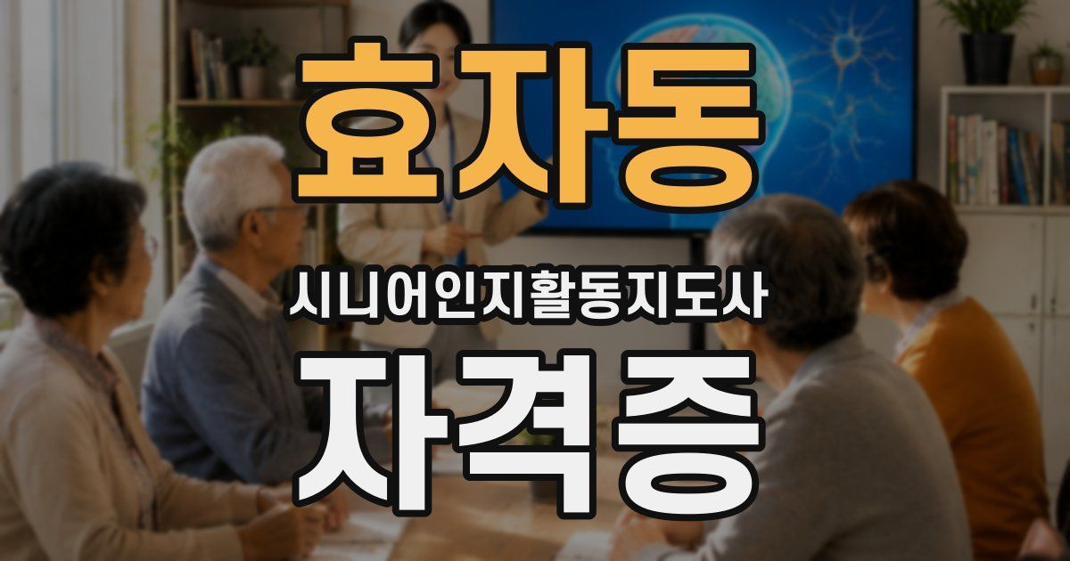 효자동 시니어인지활동지도사 자격증