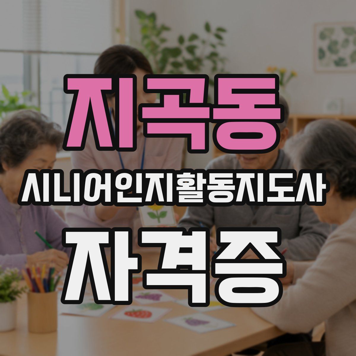 지곡동 시니어인지활동지도사 자격증