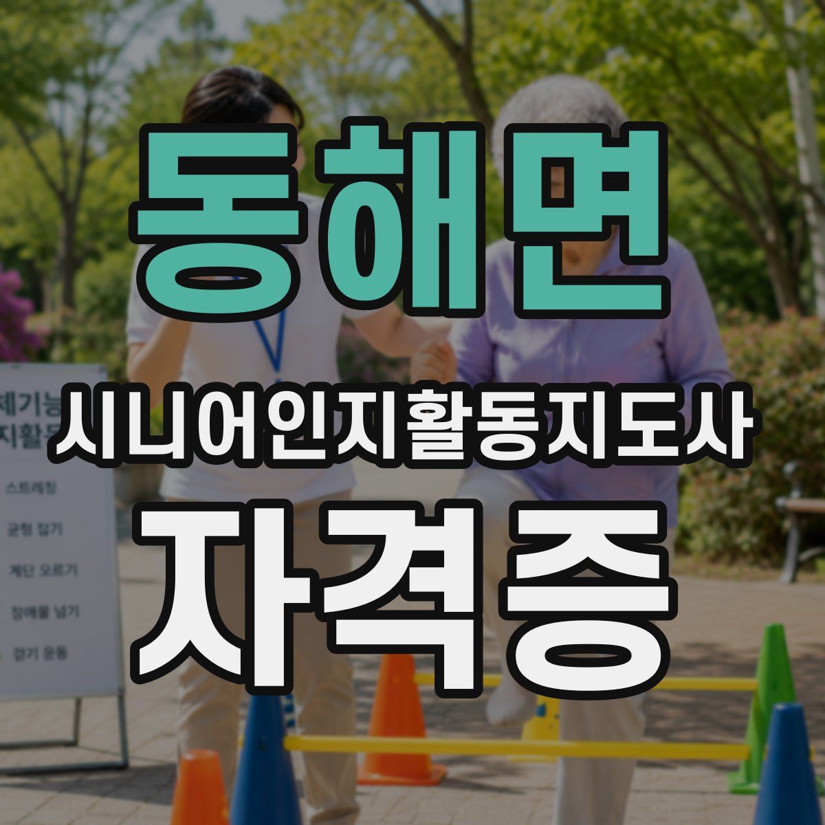 동해면 시니어인지활동지도사 자격증