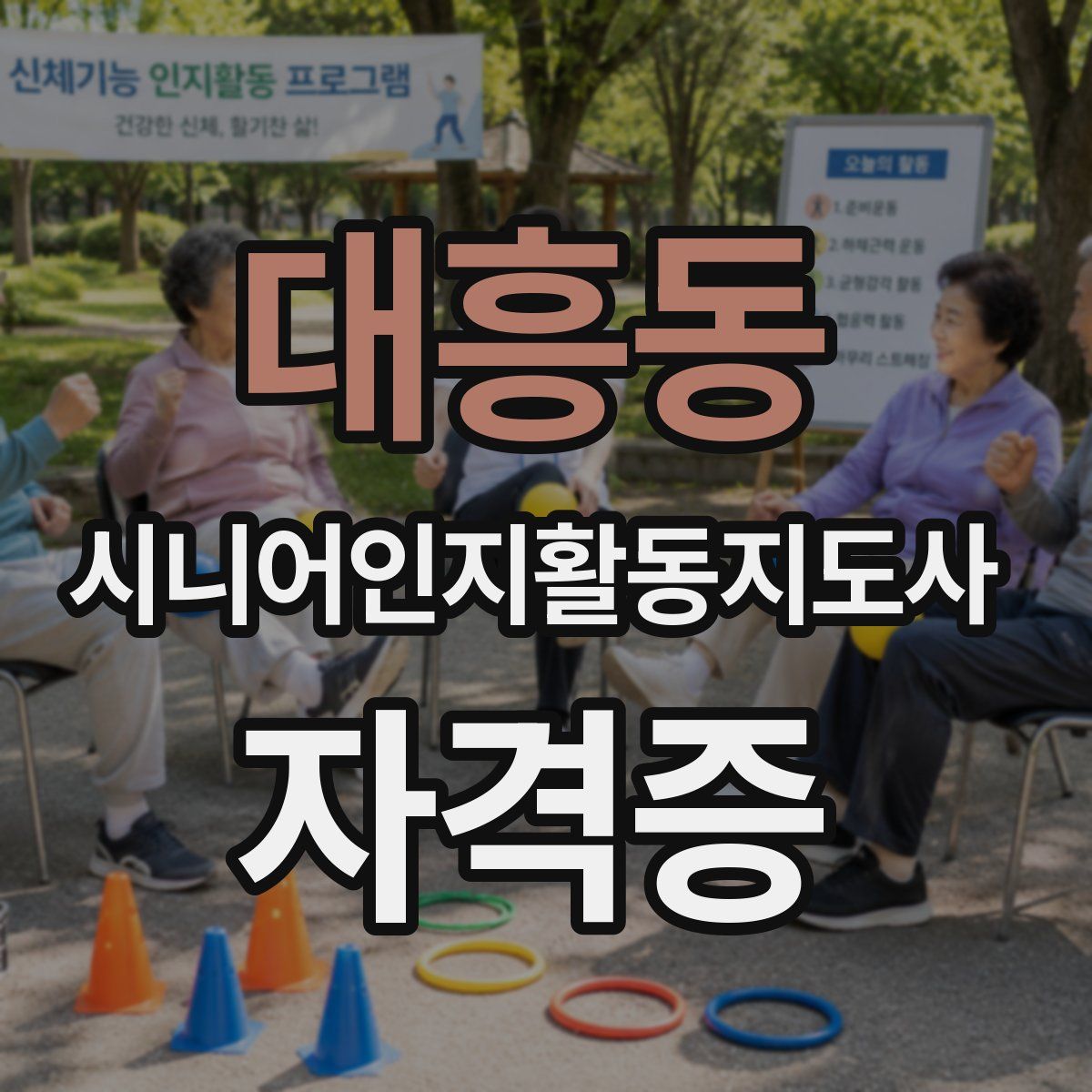 대흥동 시니어인지활동지도사 자격증
