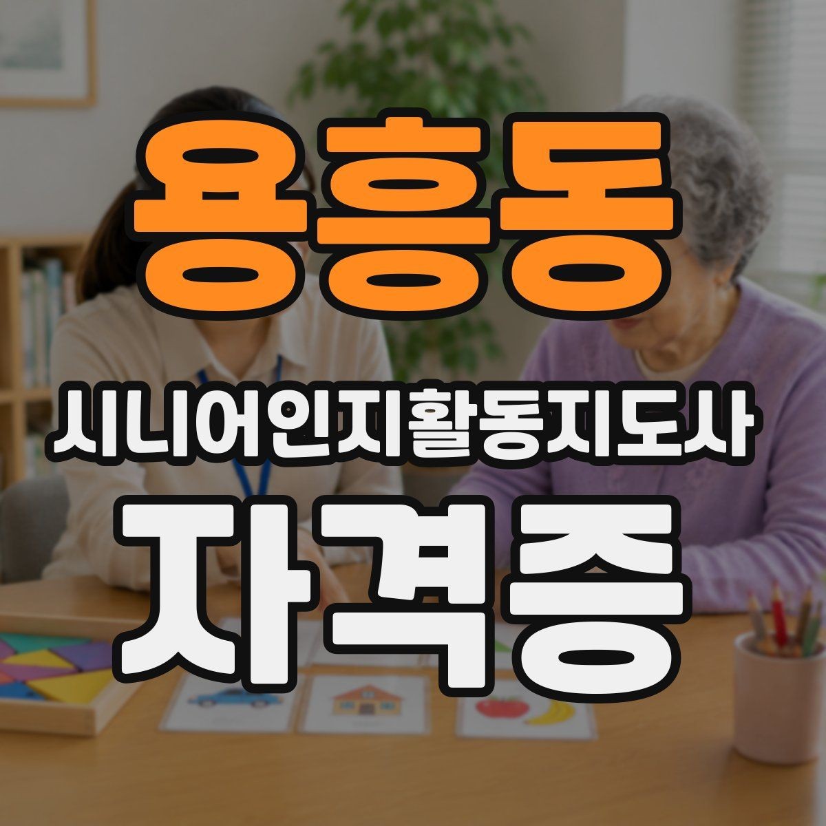 용흥동 시니어인지활동지도사 자격증 취득 과정에서 꼭 확인할 부분