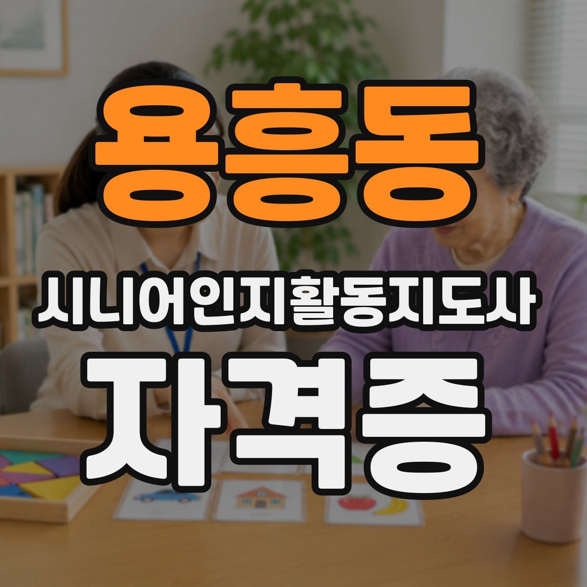 용흥동 시니어인지활동지도사 자격증