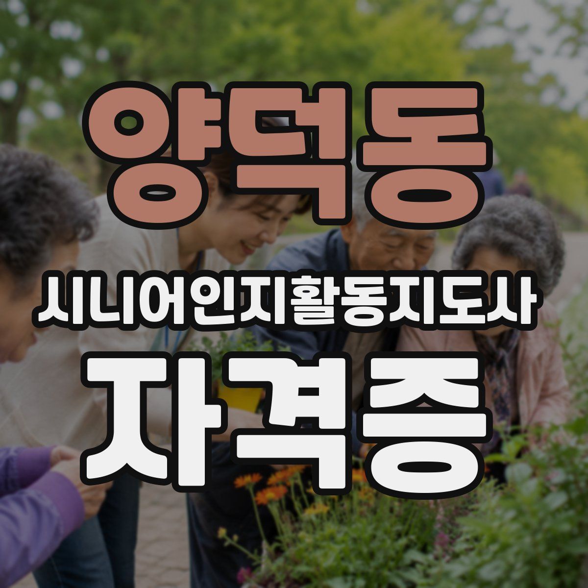 양덕동 시니어인지활동지도사 자격증