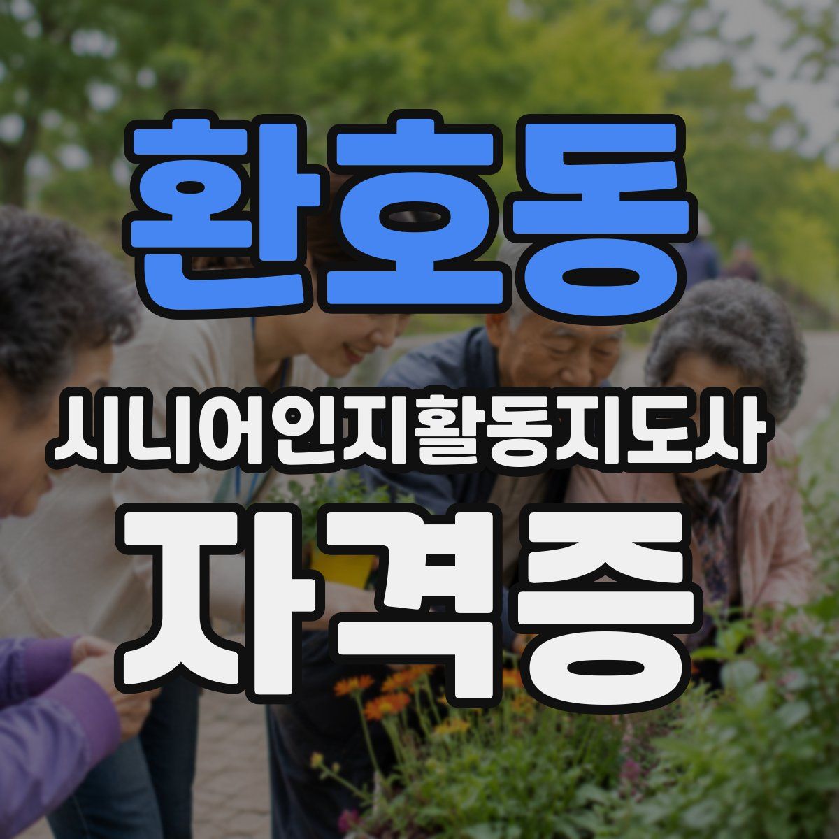 환호동 시니어인지활동지도사 자격증