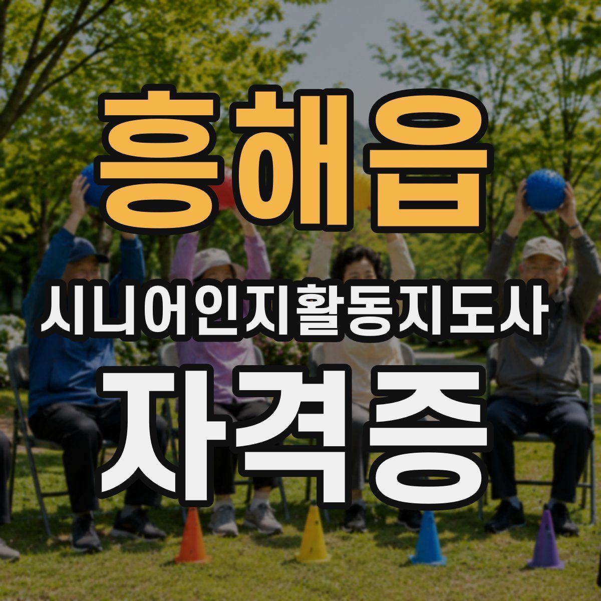 흥해읍 시니어인지활동지도사 자격증
