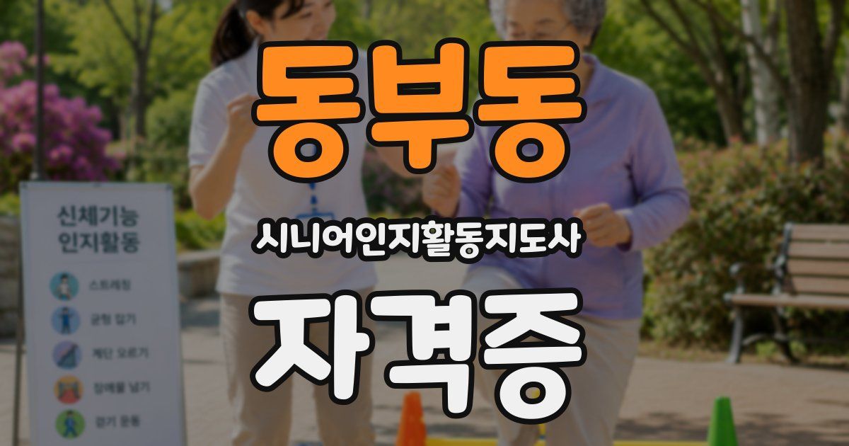 동부동 시니어인지활동지도사 자격증