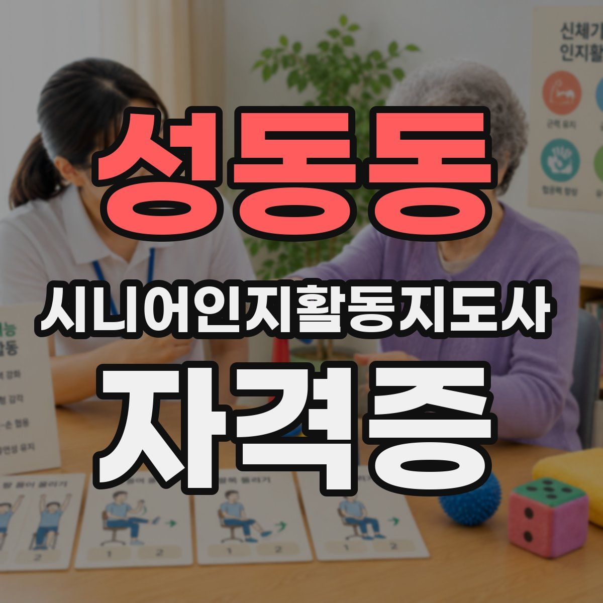 성동동 시니어인지활동지도사 자격증