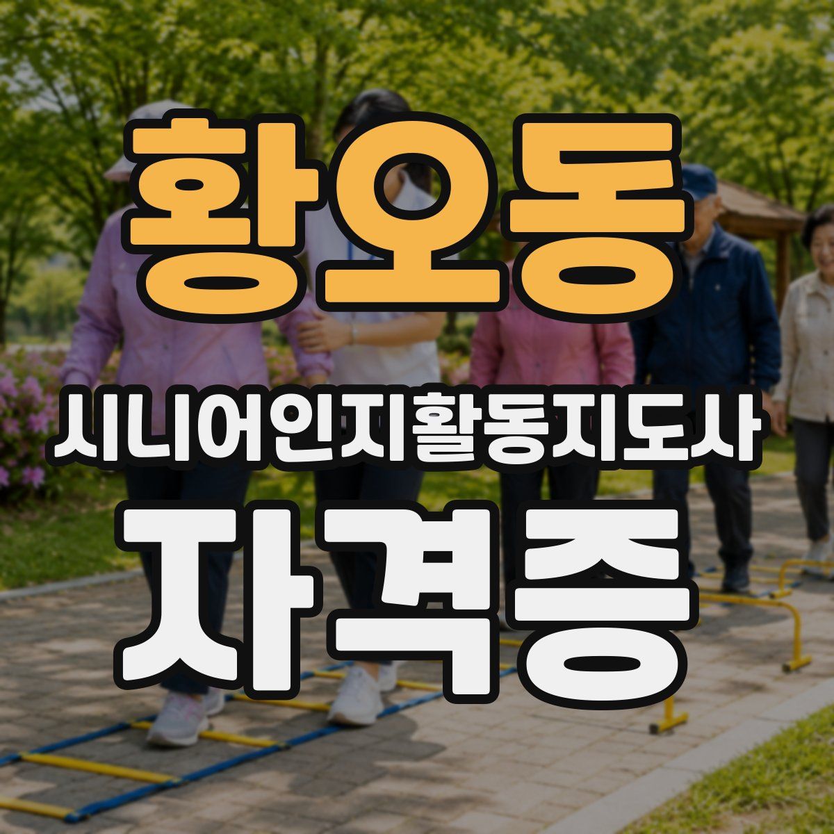 황오동 시니어인지활동지도사 자격증
