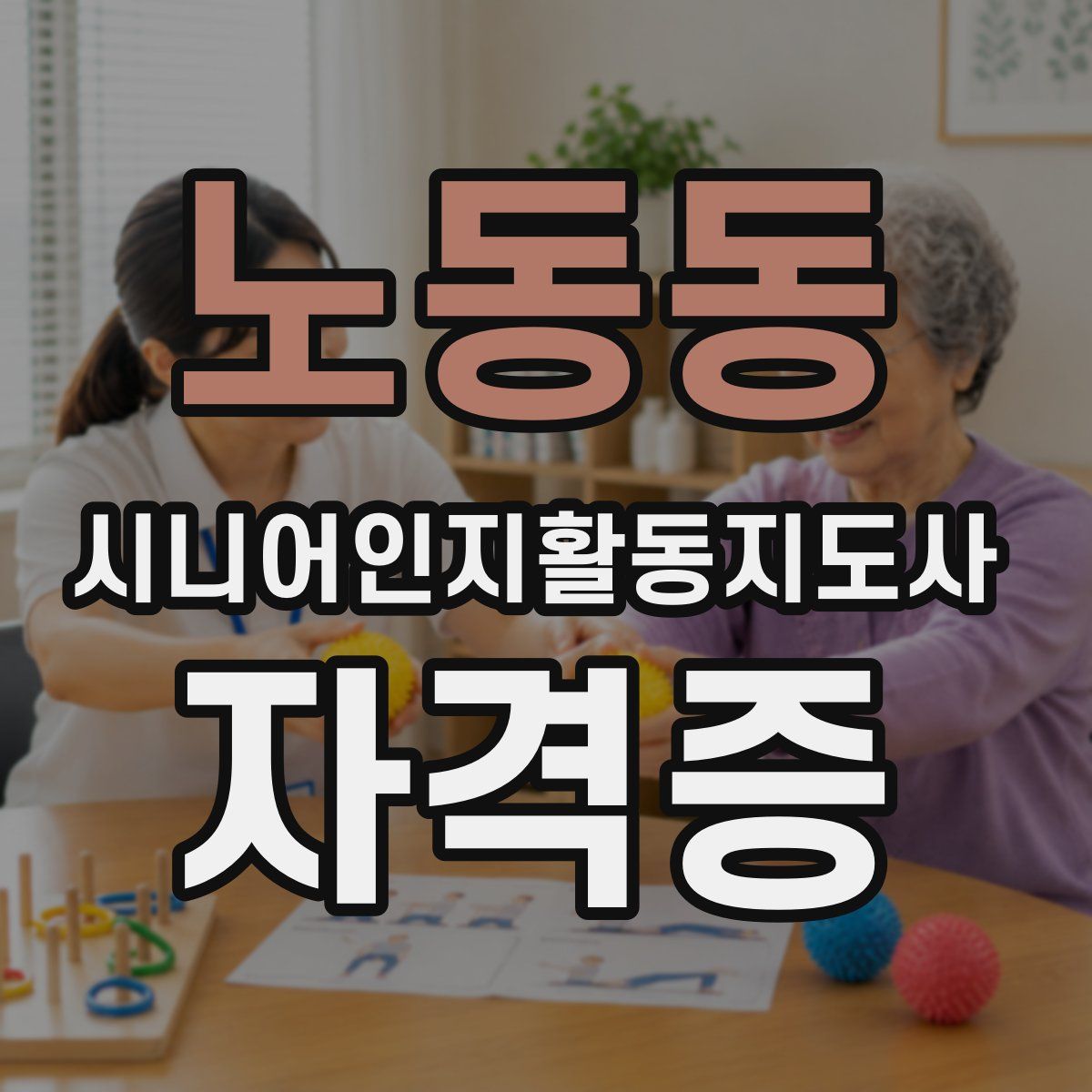 노동동 시니어인지활동지도사 자격증