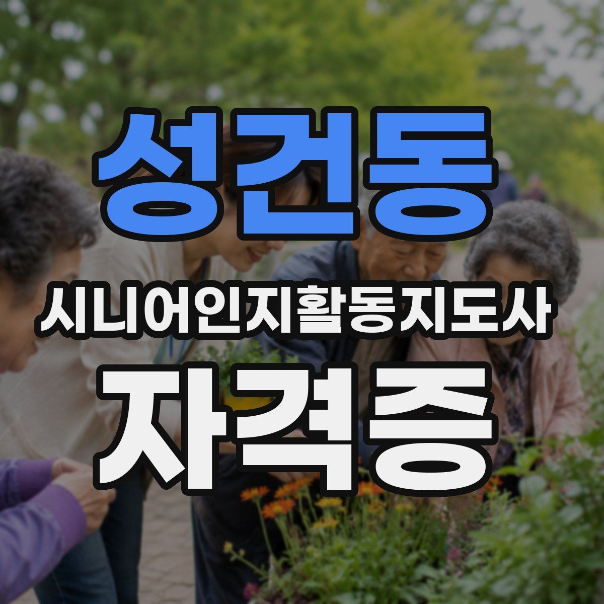 성건동 시니어인지활동지도사 자격증