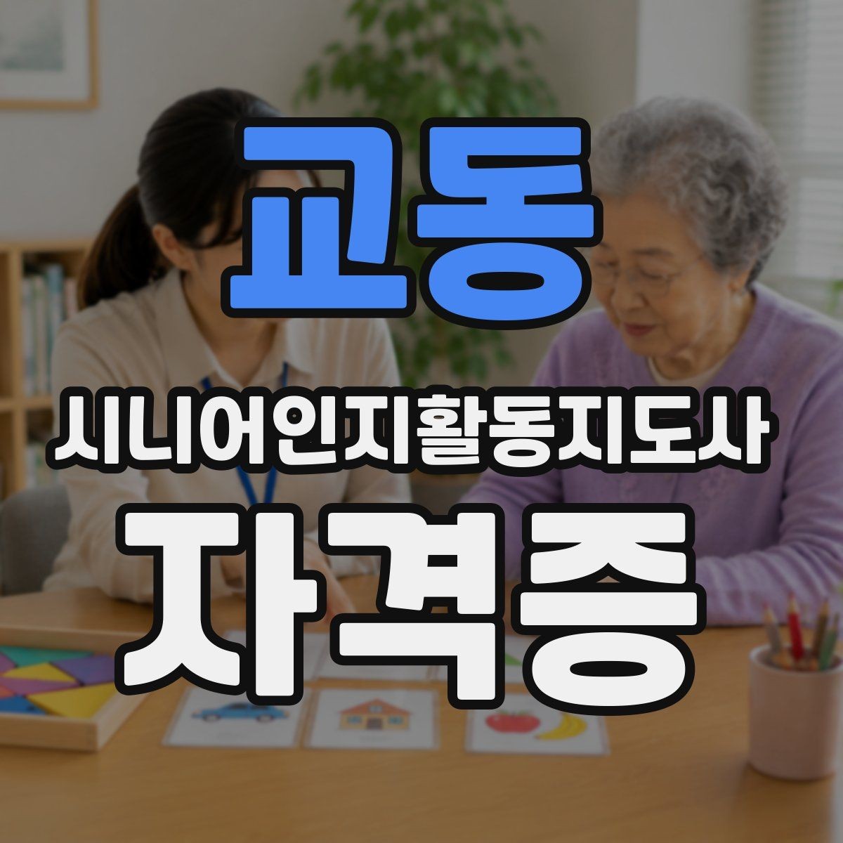 교동 시니어인지활동지도사 자격증 과정 비교와 나에게 맞는 선택