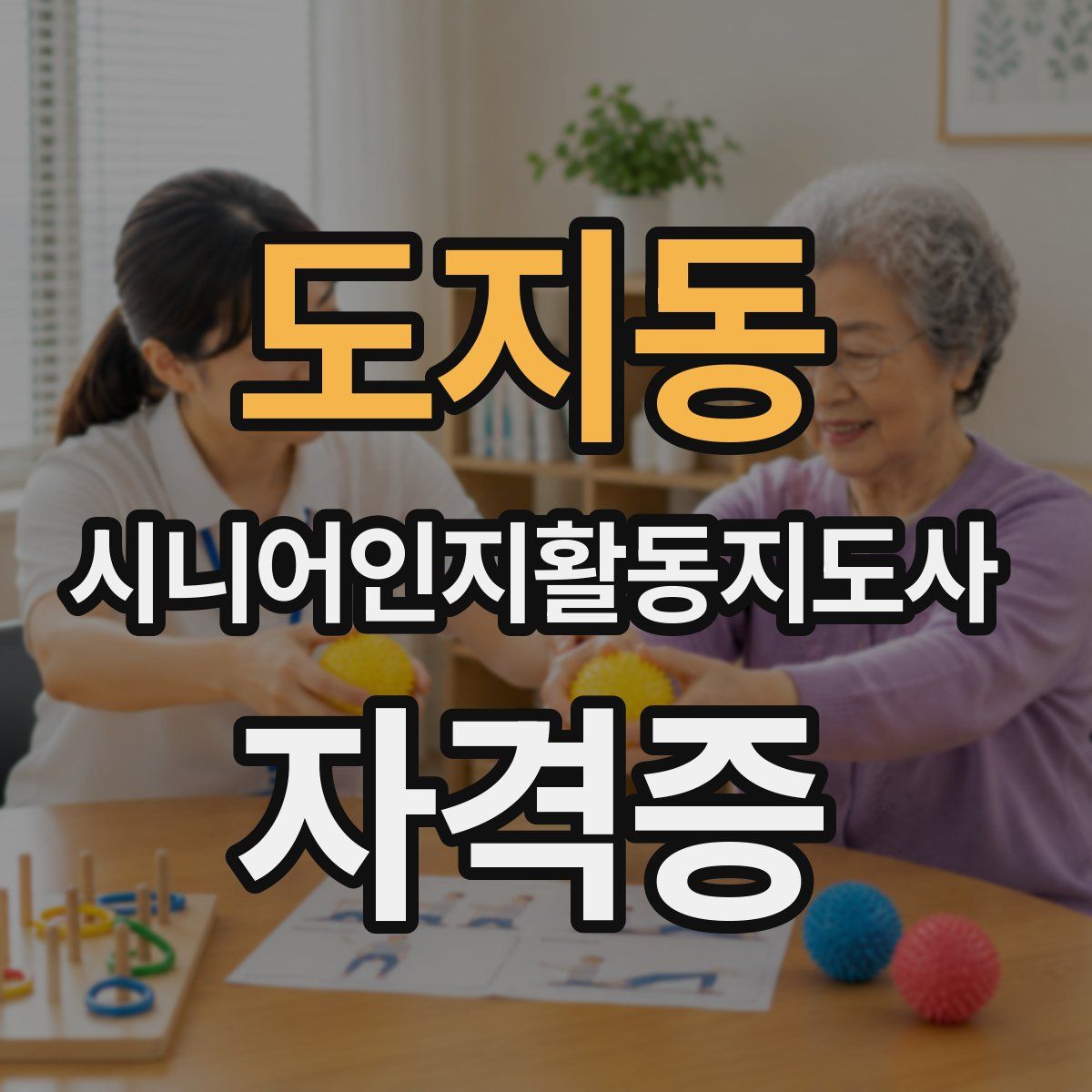 도지동 시니어인지활동지도사 자격증