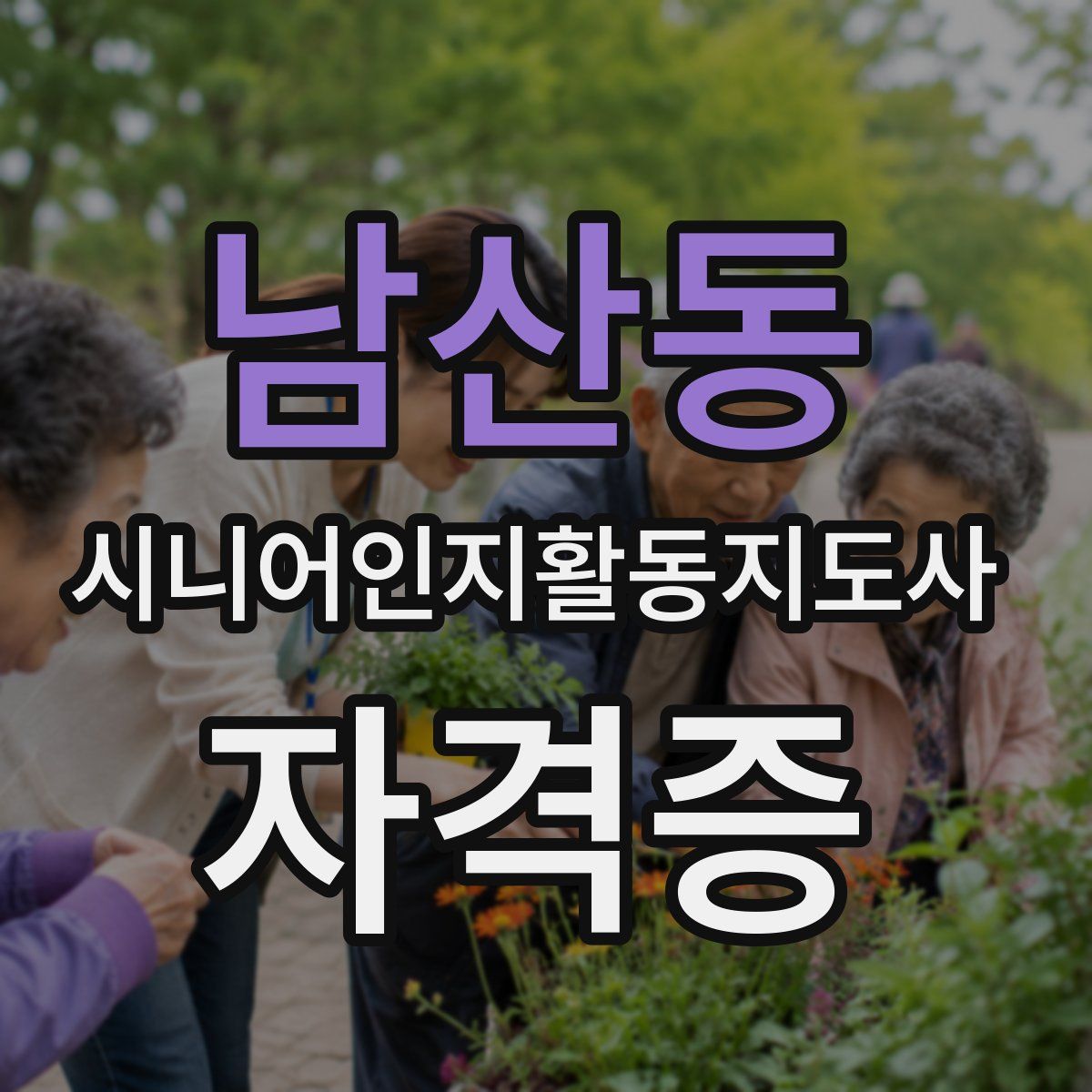 남산동 시니어인지활동지도사 자격증