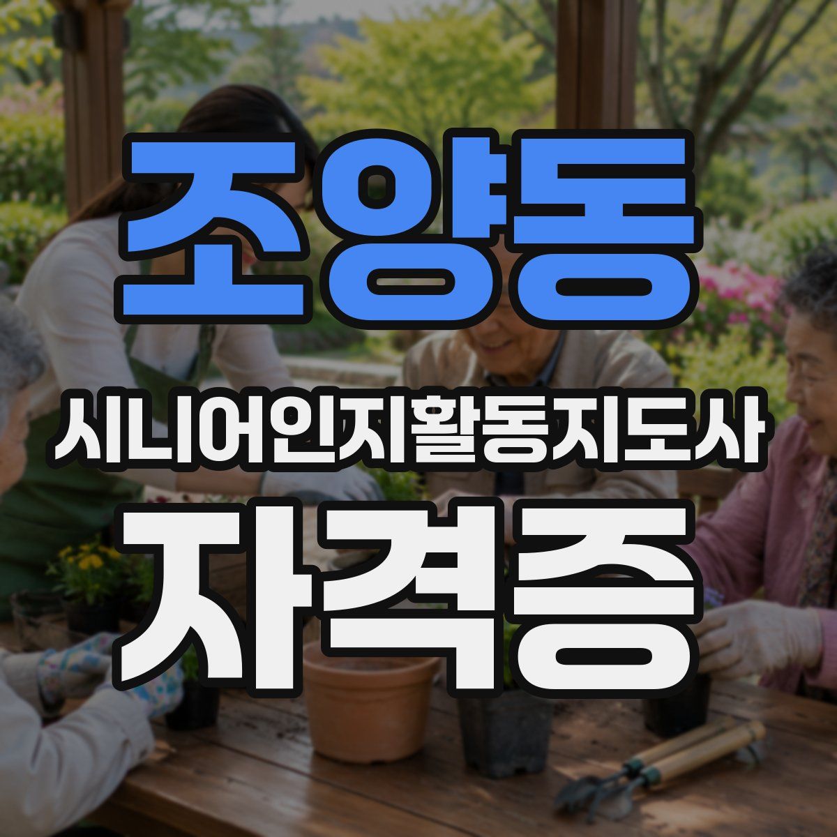 조양동 시니어인지활동지도사 자격증
