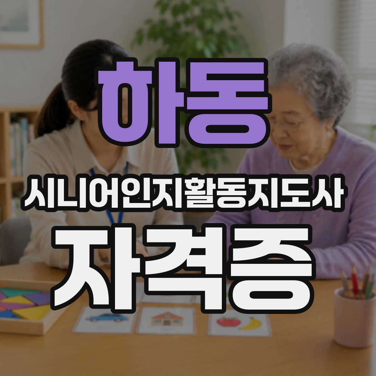 하동 시니어인지활동지도사 자격증