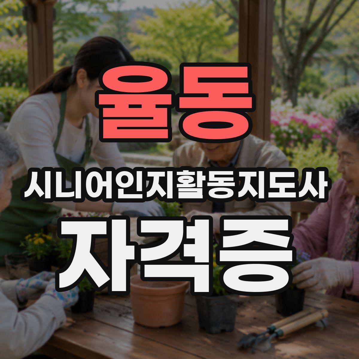 율동 시니어인지활동지도사 자격증