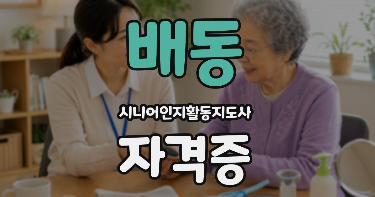 배동 시니어인지활동지도사 자격증