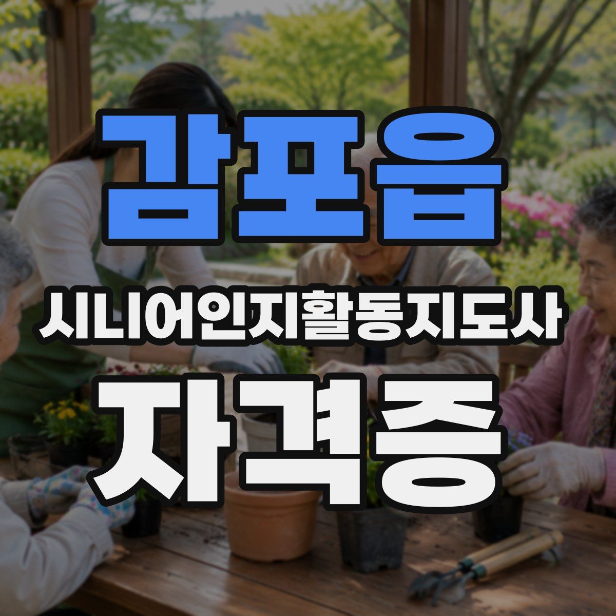 감포읍 시니어인지활동지도사 자격증