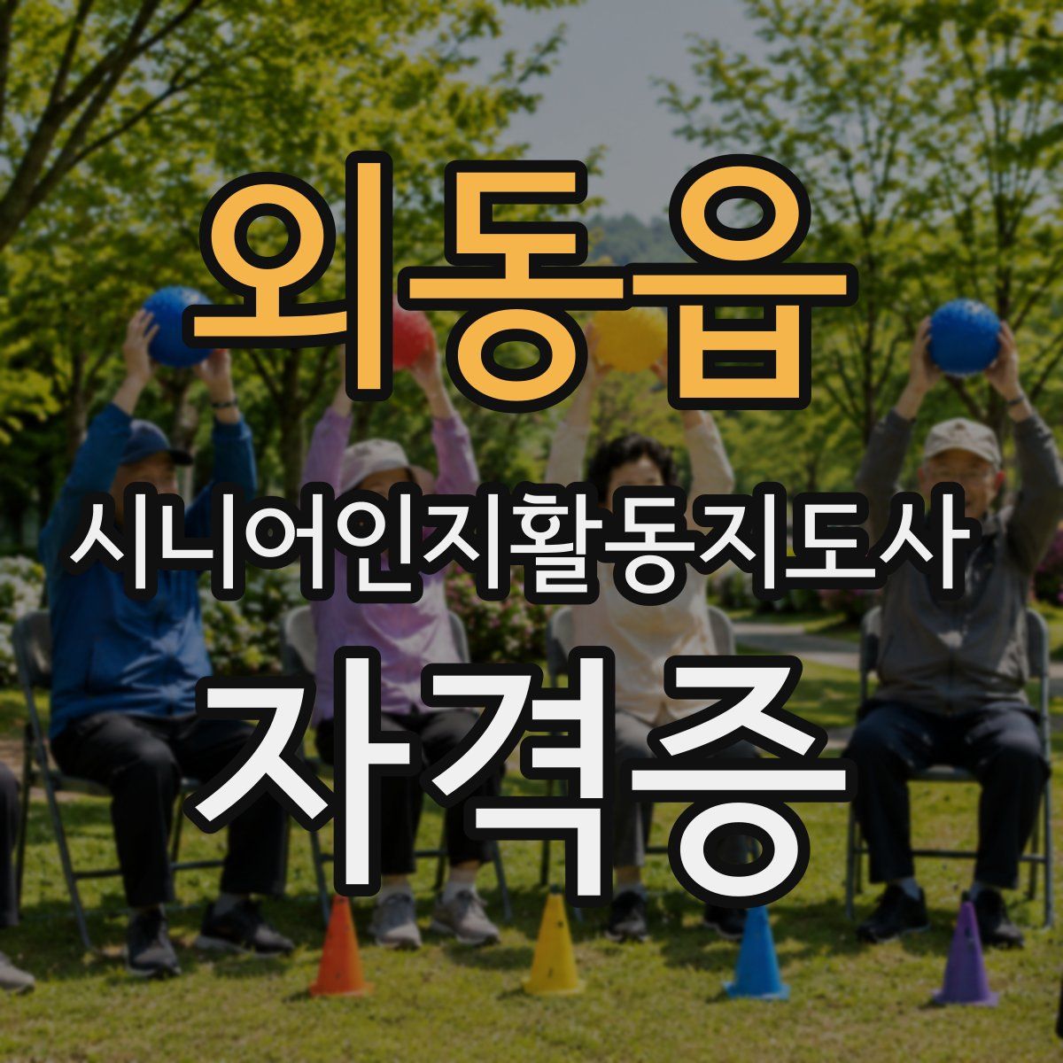 외동읍 시니어인지활동지도사 자격증