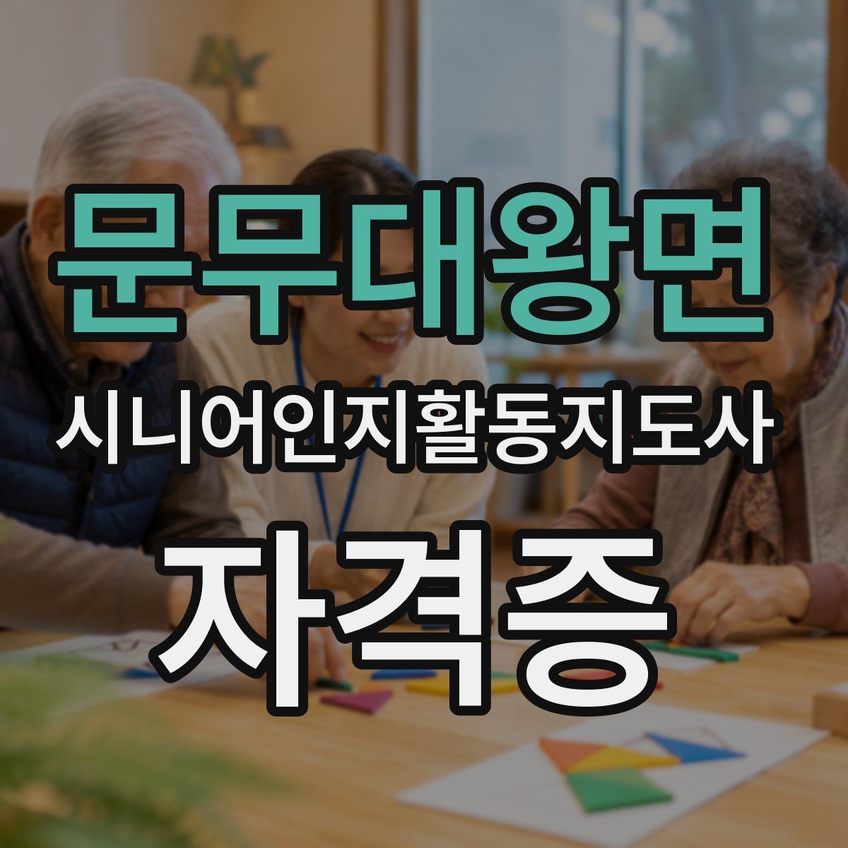 문무대왕면 시니어인지활동지도사 자격증