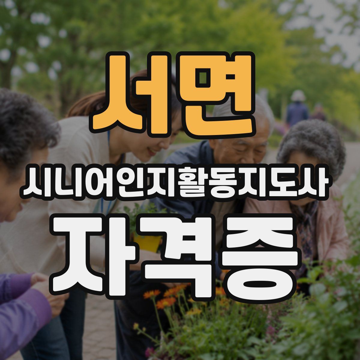 서면 시니어인지활동지도사 자격증