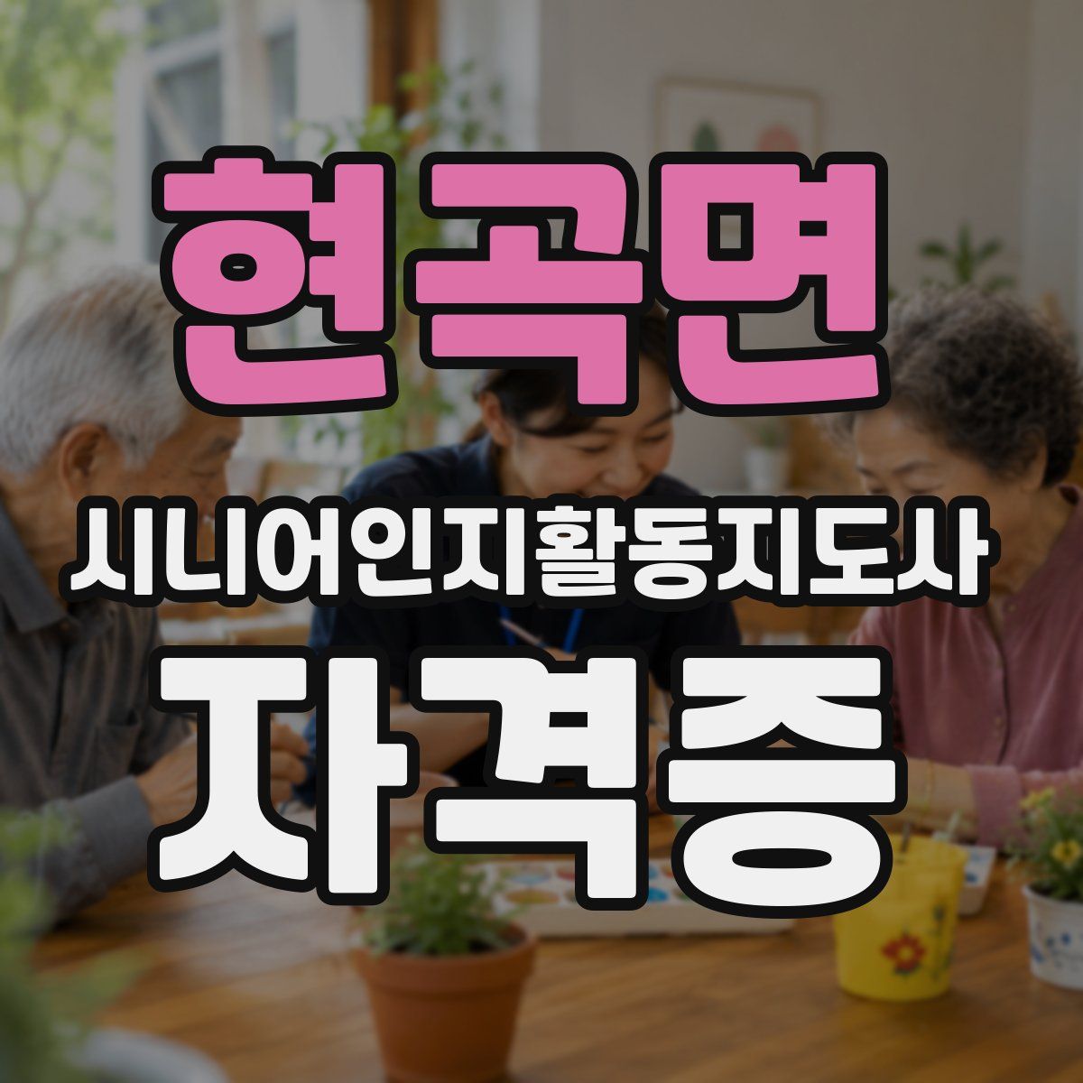 현곡면 시니어인지활동지도사 자격증