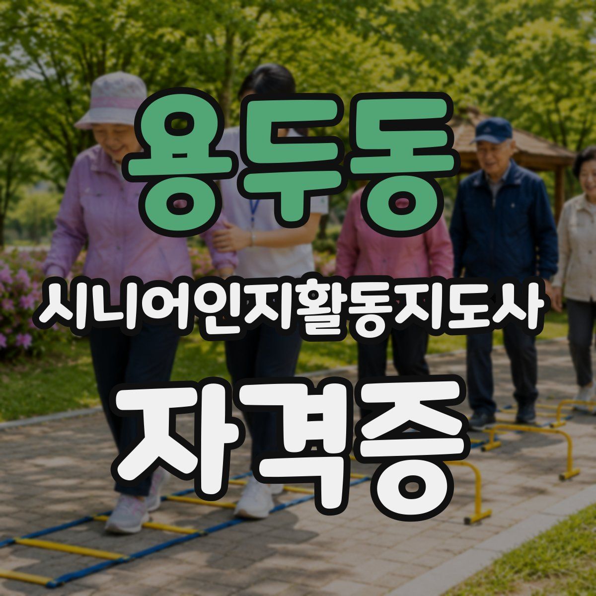 용두동 시니어인지활동지도사 자격증
